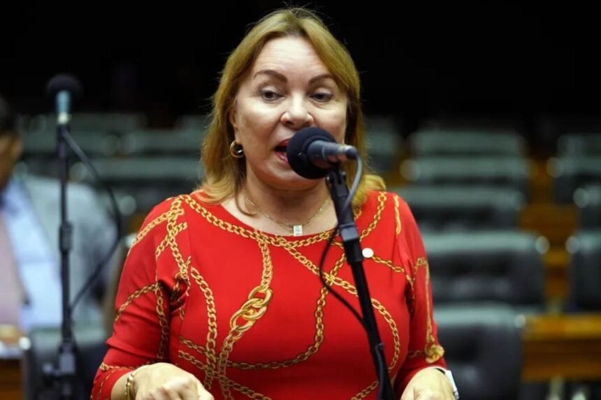 Deputada Maria Gorete Pereira