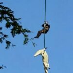 Restos mortais de empresário são localizados dentro de crocodilo após buscas