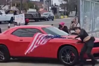 Manifestante é atropelada em protesto contra o ICE